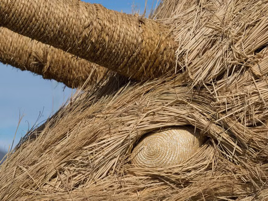 Từng chi tiết trên con khủng long được chăm chút, làm một cách rất cẩn thận, tỉ mỉ từng chút một.