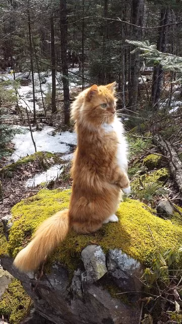 10. Khám phá thế giới bên ngoài luôn luôn là những chuyến hành trình thú vị nhất, hãy đi khi bạn còn có thể và trải nghiệm những cuộc phiêu lưu.