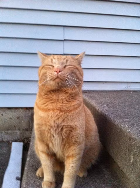 12. Cuối cùng, không bao giờ mất niềm tin, niềm tin là chìa khóa để giải quyết mọi vấn đề.