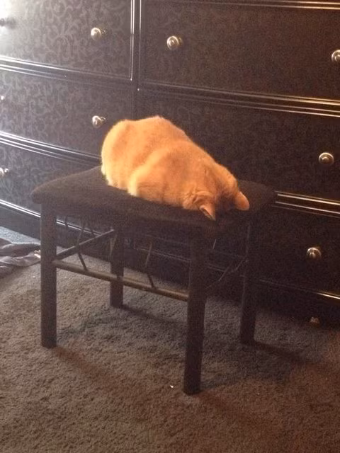 3. Lời khuyên là "Đôi khi bạn phải dành thời gian cho chính bản thân mình, làm bất cứ thứ gì mà mình muốn".