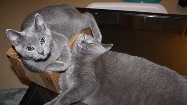 11. Đừng lo lắng quá về ngoại hình của bạn, ăn ảnh không phải là tất cả cuộc sống này.