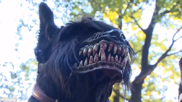 Được lấy cảm hứng từ mõm sói, khi những con sói đang say mồi và sẵn sàng lao vào giết chết bất cứ ai quấy rầy nó, chiếc rọ mõm ác quỷ khiến người ta không khỏi rợn người khi nhìn vào.