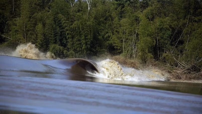 Pororoca là một dòng triều chảy ngược sông Amazon. Con sóng này có thể đạt tới độ cao 4m và có thể chảy đến 500km. Những năm gần đây, sóng Pororoca trở nên nổi tiếng khi người dân nơi đây tổ chức một cuộc thi lướt sóng Pororoca hàng năm. Kỷ lục của cuộc thi là 37 phút cưỡi sóng với chặng đường là 12,5 km.