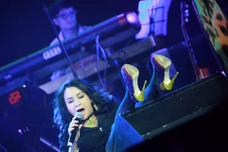 Thanh Lam cũng là sao Việt vồ ếch trên sân khấu khi bị ngã dúi về phía sau trong một đêm nhạc vào năm 2012. Ảnh: Đời sống pháp luật