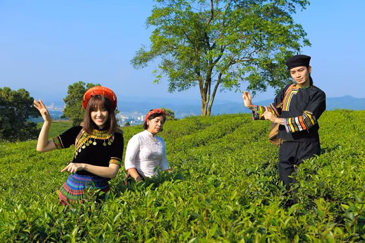 Hari Won tạo dáng giữa vườn chè là một trong những tin tức sao Việt trong ngày 6/1.