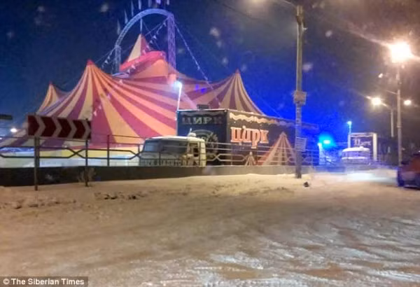 Theo thông tin, con hổ đã bị xổng khỏi lồng và khi nhìn nhìn thấy người lạ nó đã lập tức hành động.