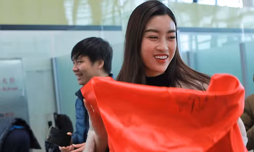 Đỗ Mỹ Linh. Ảnh: Zing