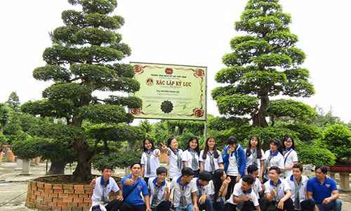 Nhiều du khách chụp ảnh lưu ảnh bên cặp me kiểng cổ.