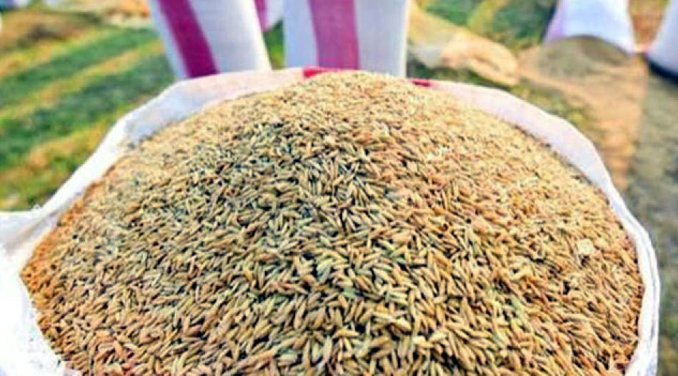 Các mối quan hệ xã hội của nạn nhân nhanh chóng được Cơ quan điều tra xác minh. Theo đó, từ đầu năm 2020, chị Trinh từ Mù Cang Chải tới Trạm Tấu để sinh sống với anh T. (người địa phương) như vợ chồng. Chị Trinh vốn là người hiền lành và không xảy ra mâu thuẫn với bất cứ ai. Theo lời khai của anh T. sáng 6/11, anh cùng chị Trinh đến xã Đồng Khê (huyện Văn Chấn, Yên Bái) để mua thực phẩm và đồ dùng sinh hoạt cá nhân. Khi về cách nhà 1km, anh để chị Trinh đi bộ về còn mình chạy đi lấy thóc xay xát. (Ảnh minh họa, nguồn Internet) 