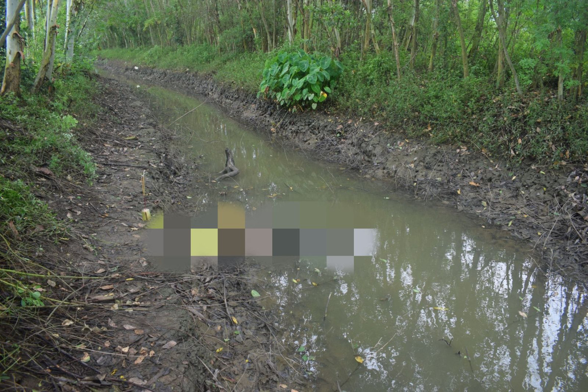 Bac Giang: Phat hien nguoi dan ong tu vong bat thuong duoi muong nuoc