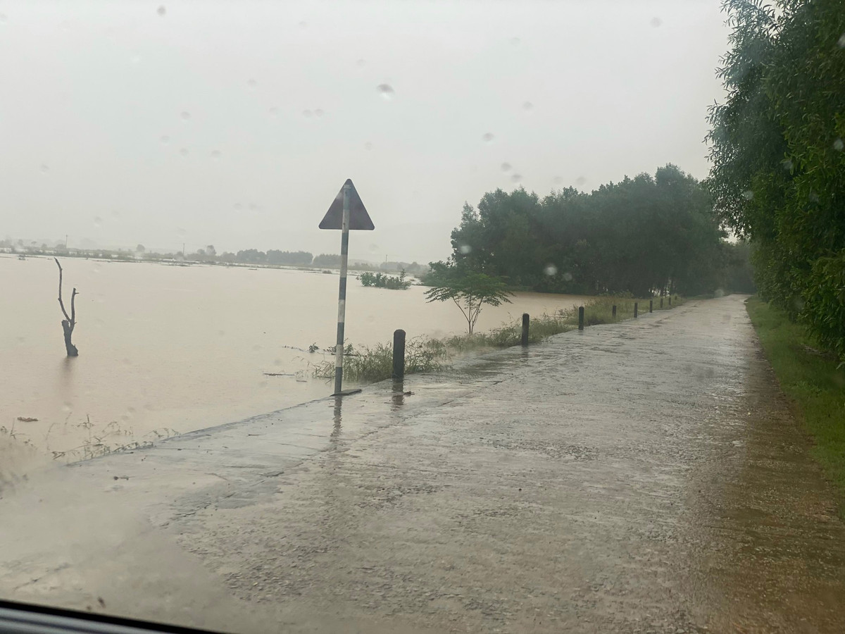 Tại thị xã Hương Trà, một số tuyến đường của phường Hương Chữ, Hương Toàn, Hương Văn ngập từ 0,3-0,4m. Trong đêm 10 rạng sáng 11/10, phường Hương Văn đã di dời 6 người dân đến nơi an toàn. Do mưa lớn, một số tuyến đường ở phường Hương Văn bị ngập sâu, địa phương đã thông báo cho trường Mầm non Hương Văn, Trường Tiểu học số 1 Hương Văn, THCS Hồ Văn Tứ nghỉ học ngày 11/10.