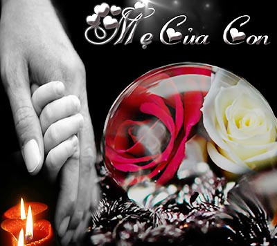 Hieu sao cho dung ve “Bong hong cai ao“ ngay le Vu Lan?