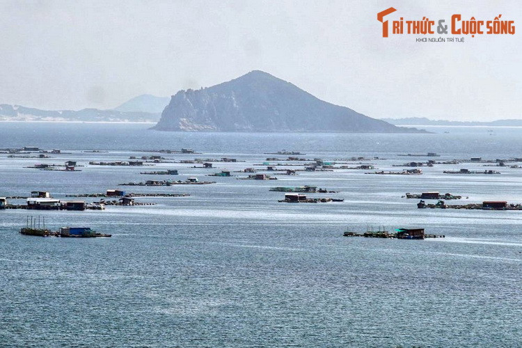 Giữa vịnh Vũng Rô có hòn Nưa, một đảo đá có địa hình hiểm trở, cũng có vai trò như điểm đánh dấu ranh giới giữa Đại Việt và Chiêm Thành xưa. Trên đảo có một ngọn hải đăng được xây dựng từ năm 2002.