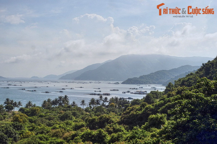 Nằm sát rìa dãy núi Đèo Cả, Vũng Rô là một vịnh nhỏ có phong cảnh hấp dẫn. Thời kháng chiến chống Mỹ, vịnh Vũng Rô là một địa chỉ tiếp nhận vũ khí bí mật từ miền Bắc chuyển vào qua những chuyến tàu không số lịch sử.