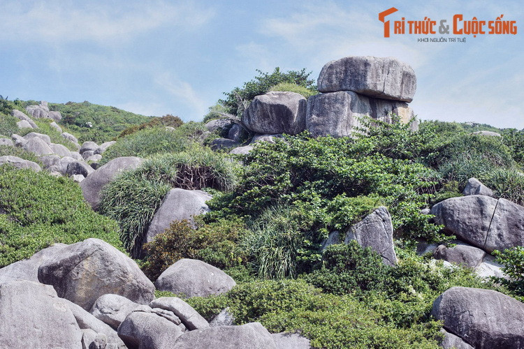 Trong nhiều thế kỷ, đèo Cả đã đảm nhiệm vai trò của một tuyến đường giao thông huyết mạch của khu vực phía Nam. Dù hầm đèo Cả đã khánh thành vào năm 2017, con đèo này vẫn có vai trò quan trọng trong giao thông và an ninh quốc phòng ở khu vực.