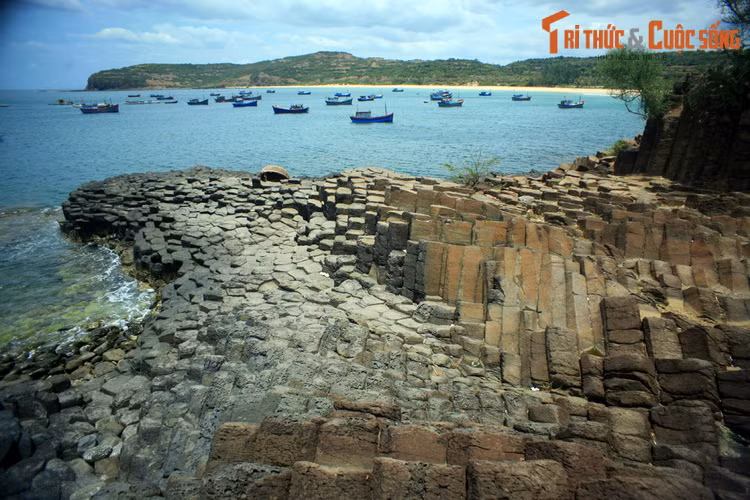 1. Tọa lạc tại bờ biển xã An Ninh Đông, huyện Tuy An, tỉnh Phú Yên, Gành Đá Đĩa là một trong những danh thắng thiên nhiên kỳ thú bậc nhất ở Việt Nam. Đây là một gành đá rộng khoảng 50 mét, trải dài 200 mét, được hợp thành từ vô vàn trụ đá hình xếp liền nhau kề với sóng nước.