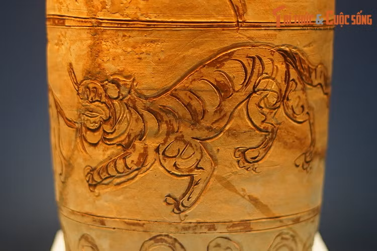 Nhưng "tránh vỏ dưa gặp vỏ dừa", con vật xấu số lại lọt vào tầm ngắm của "chúa sơn lâm". Thời đó, loài hổ vẫn còn hiện diện đầy rẫy ở các khu vực hoang vu của Việt Nam.