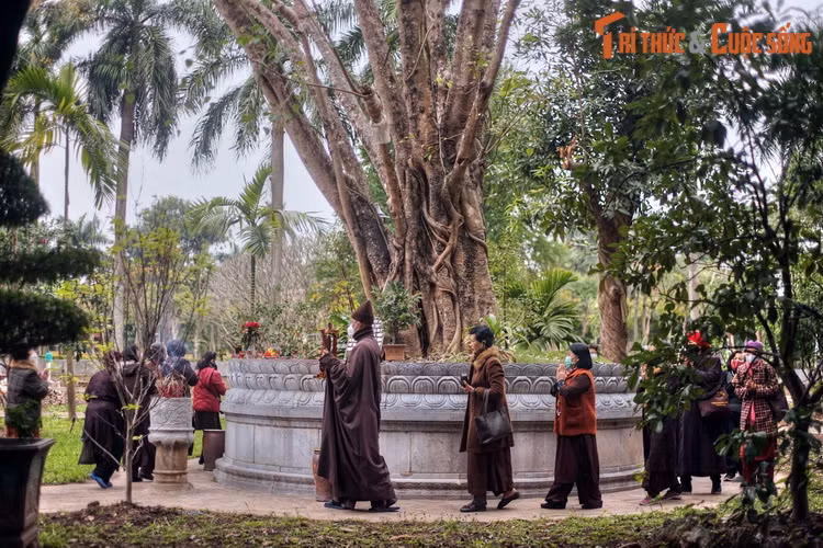 Ngày nay, cây bồ đề do Bác Hồ đưa về từ Ấn Độ là một điểm chiêm bái quan trọng ở chùa Một Cột. Từ cây bồ đề lịch sử, những nhánh mới tiếp tục chiết tách để trồng ở những nơi khác.