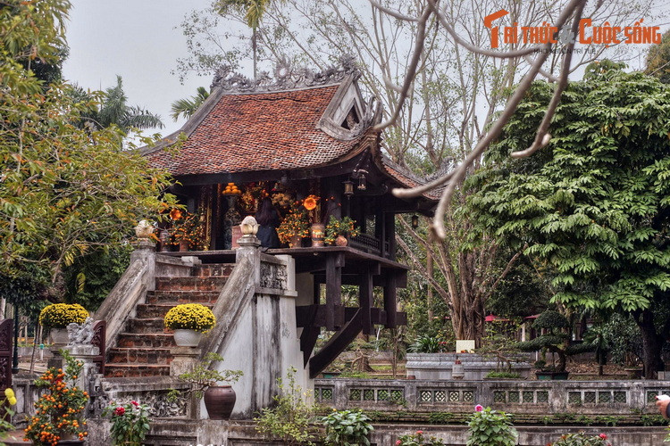 3. Nằm bên Quảng trường Ba Đình, chùa Một Cột hay Liên Hoa Đài (Đài Hoa Sen) là một biểu tượng lịch sử của Hà Nội cũng như nền văn hóa có bề dày ngàn năm của Việt Nam. Trên khoảng sân phía sau sau ngôi chùa nổi tiếng cả nước này, có một cây bồ đề mang lịch sử rất đặc biệt.