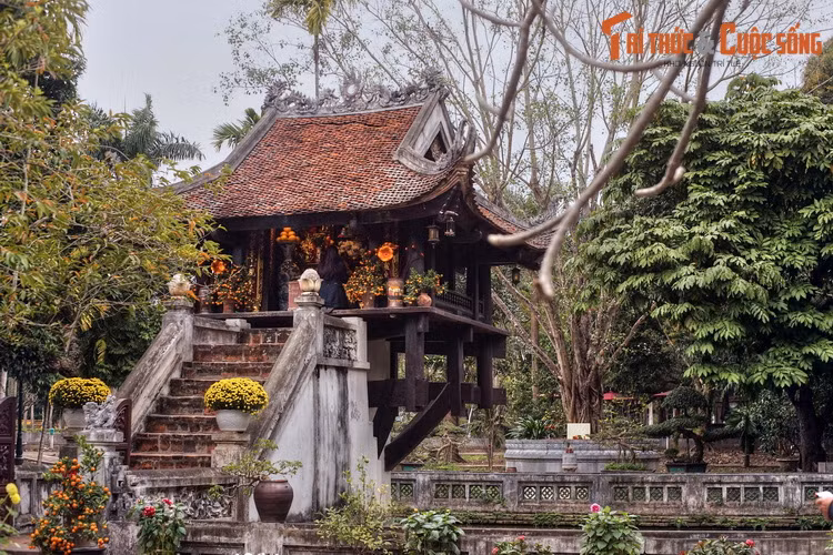 3. Nằm bên Quảng trường Ba Đình, chùa Một Cột hay Liên Hoa Đài (Đài Hoa Sen) là một biểu tượng lịch sử của Hà Nội cũng như nền văn hóa có bề dày ngàn năm của Việt Nam. Trên khoảng sân phía sau sau ngôi chùa nổi tiếng cả nước này, có một cây bồ đề mang lịch sử rất đặc biệt.