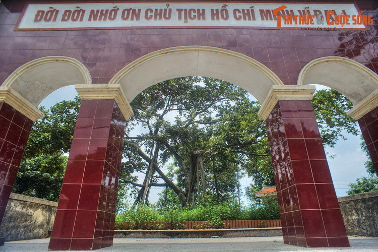 2. Nằm ở trung tâm xã Đông Hội, huyện Đông Anh, Hà Nội, Khu lưu niệm Cây đa Bác Hồ cũng là một địa danh lịch sử gắn liền với phong trào Tết trồng cây do Chủ tịch Hồ Chí Minh khởi xướng.