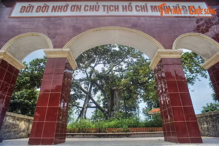 2. Nằm ở trung tâm xã Đông Hội, huyện Đông Anh, Hà Nội, Khu lưu niệm Cây đa Bác Hồ cũng là một địa danh lịch sử gắn liền với phong trào Tết trồng cây do Chủ tịch Hồ Chí Minh khởi xướng.
