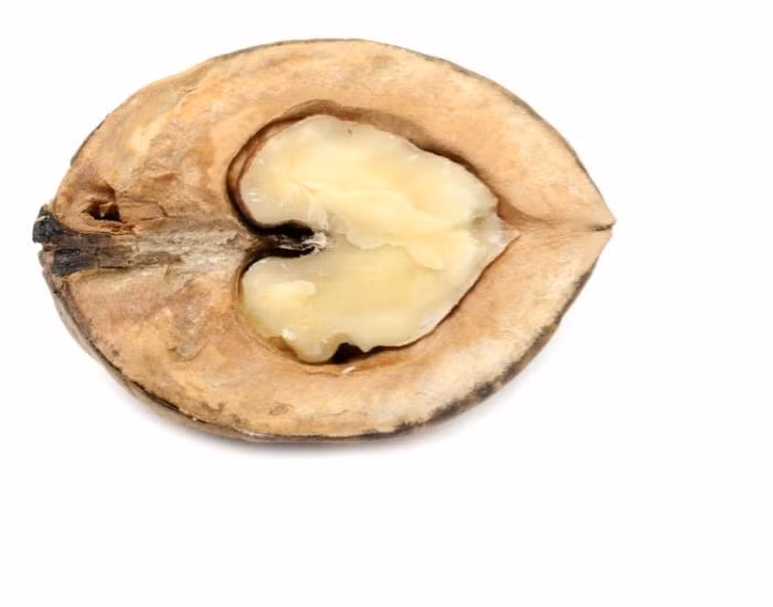 Tốt cho tim của bạn: chế độ ăn với quả hạch tốt cho người mắc bệnh tim vì nó làm giảm cholesterol ‘xấu’. Loại quả này cũng giảm phát triển cục máu đông, cải thiện sức khỏe niêm mạc động mạch của bạn.