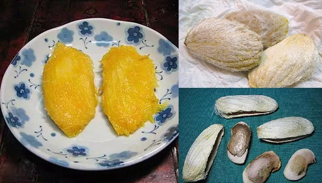 Bên cạnh đó, hợp chất phenolic trong hạt xoài có thể kháng viêm hiệu quả đối với bệnh nhân mắc bệnh gout và các bệnh mãn tính, bệnh về đường tiêu hóa. Ảnh: kenhphunu.