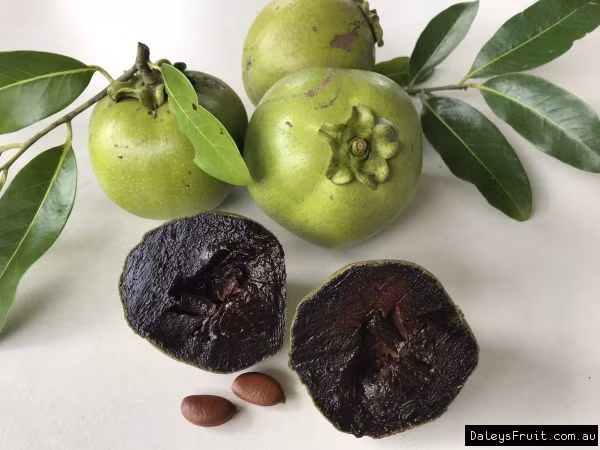 Chính vì vậy, quả hồng đen còn có tác dụng chống cao huyết áp, ngăn ngừa nguy cơ đột quỵ, loãng xương và bệnh sỏi thận. Ảnh: daleysfruit.