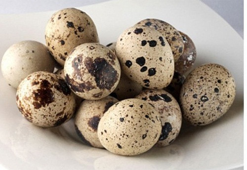 Với hàm lượng vitamin A và vitamin C đáng kể, trứng cút còn có thể ngăn chặn sự khởi phát của nhiều bệnh mạn tính và tăng cường sức khỏe tổng thể. Ảnh: nongsandungha.