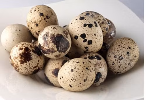 Với hàm lượng vitamin A và vitamin C đáng kể, trứng cút còn có thể ngăn chặn sự khởi phát của nhiều bệnh mạn tính và tăng cường sức khỏe tổng thể. Ảnh: nongsandungha.