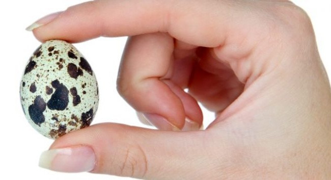 Kali có trong trứng cút giúp giảm căng thẳng cho các động mạch và mạch máu, do đó, giữ cho huyết áp trong tầm kiểm soát. Ảnh: healthplus.