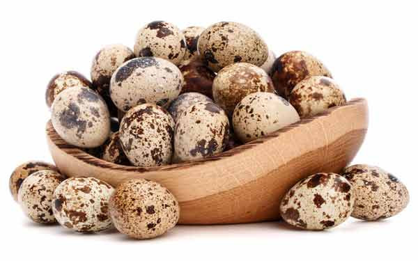 Ngoài ra, với hàm lượng cao vitamin A và selen, trứng cút có tác dụng tuyệt vời trong điều trị các vấn đề về hô hấp như ho, hen suyễn và bệnh lao. Ảnh: biquyetvang.