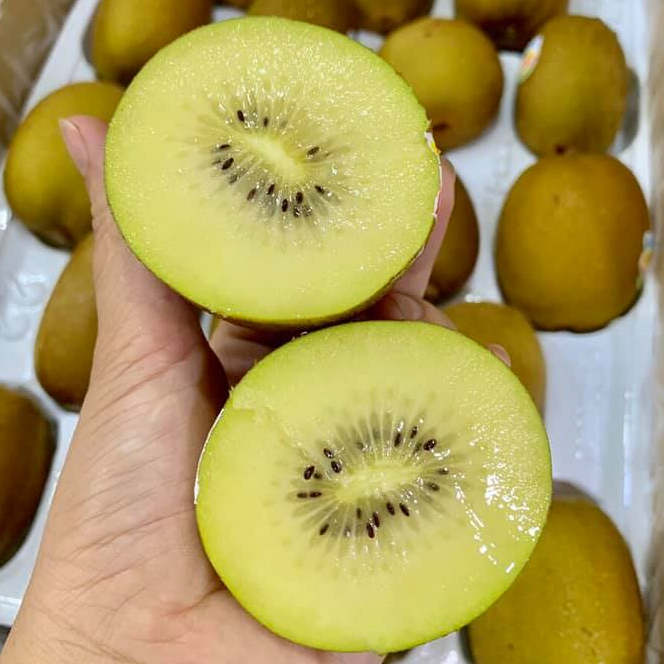 Kiwi có chứa vitamin C, có tác dụng bảo vệ các tế bào biểu mô và loại bỏ chất gây ung thư đang tồn tại trong thức ăn hàng ngày. Ảnh: hstatic.