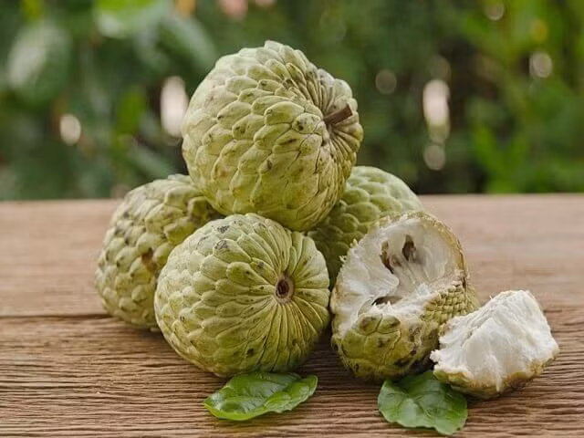 Tuy nhiên, quả na lại chứa lượng đường cao nên cần chú ý cẩn trọng khi ăn vào buổi tối để tránh gây hại. Ảnh: nilp.