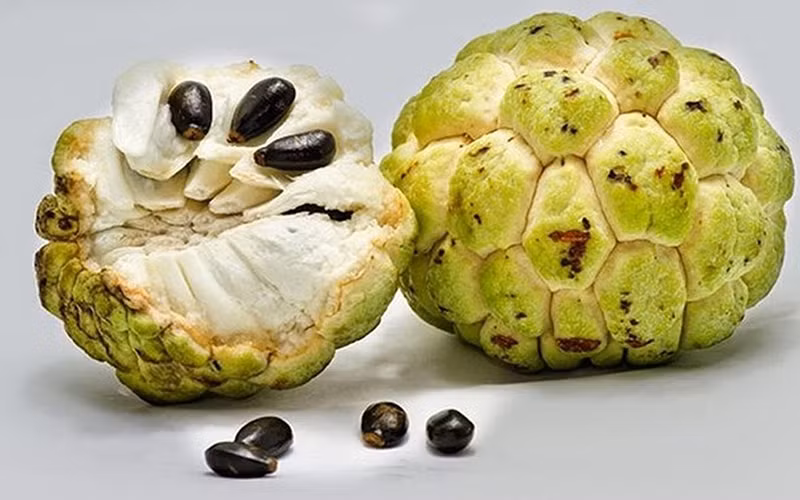 Quả na chứa nhiều chất xơ, carbohydrates, kali, một số vitamin và khoáng chất có lợi với sức khoẻ con người. Ảnh: tgdd.