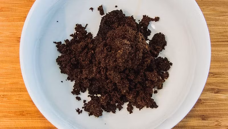 Một điều thú vị là bã cà phê chứa các hợp chất độc hại với nhiều côn trùng. Bạn có thể sử dụng bã cà phê của mình để đẩy lùi muỗi, ruồi giấm, bọ cánh cứng và các loài gây hại khác. Ảnh: roastycoffee.