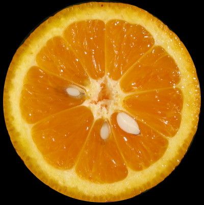 Các chất phytochemical được gọi là limonoid có trong hạt cam có tác dụng làm giảm cholesterol xấu lipoprotein mật độ thấp (LDL). Ảnh: weebly.