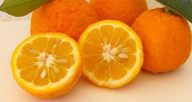 Ngoài ra, các chất chống oxy hóa có trong hạt cam có tác dụng xây dựng một lớp bảo vệ chống lại các tế bào ung thư. Ảnh: joosdigital.