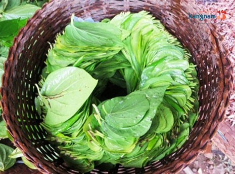 Đồng thời, bạn cũng lưu ý không đưa hỗn hợp vào bên trong âm đạo, vì dễ gây nhiễm trùng, kích ứng,...Ảnh: dieutrihoinach.