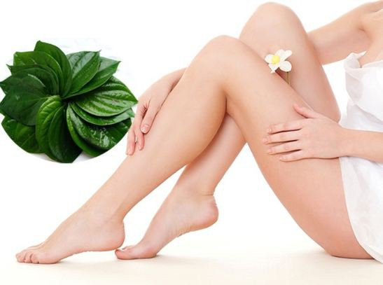 Tiếp theo, bạn đổ phần nước lá trầu không đã đun ở trên vào chậu và xông hơi vùng kín với nước này. Thực hiện xông cho đến khi hết hơi nóng và rửa lại vùng kín với nước trầu này. Ảnh: thanhnien.