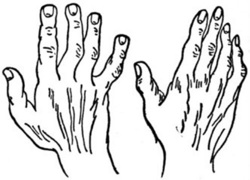 Họ không thích sự thay đổi và mong muốn có một công việc ổn định. Họ chăm chỉ, trung thực và vô cùng mạnh mẽ. Ảnh: Palmreadings.