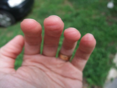 Chủ nhân của tướng đầu ngón tay dạng hình tròn có xu hướng hòa đồng, thân thiện, giàu tình cảm, dễ bị tác động bởi ngoại cảnh. Ảnh: Mayaland.