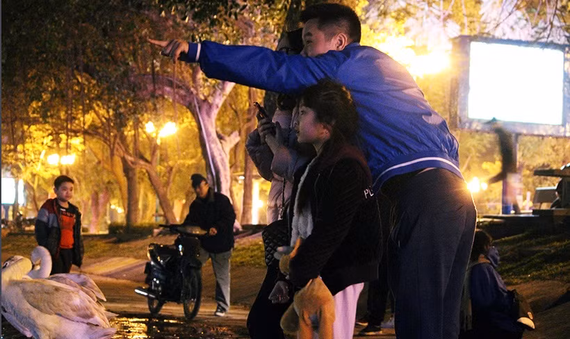 Nhiều người đứng rất gần với thiên nga ở phía bờ hồ Thiền Quang.