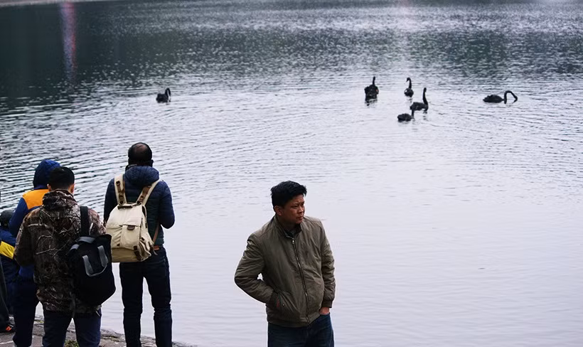 Rất đông người dân tập trung ở hồ Thiền Quang từ sáng sớm để tận mắt chiêm ngưỡng đàn thiên nga.