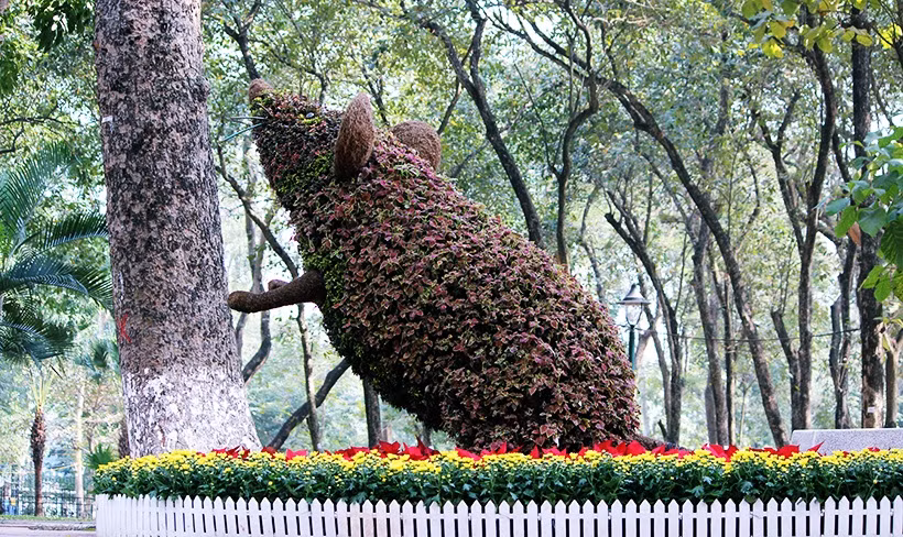 Trong dịp Tết Mậu Tuất 2018, người dân Thủ đô khi đến vui chơi tại công viên Thống Nhất (Hà Nội) tỏ ra thích thú với hình ảnh 12 con giáp được bày biện trang trí từ các loại hoa, cây cảnh rất bắt mắt. Trong ảnh là một chú chuột "khủng". Theo ý nghĩa tượng trưng, người mang tuổi Tý rất duyên dáng và hấp dẫn người khác phái. Người mang tuổi Tý rất tích cực, năng động nhưng lại rất sợ ánh sáng, tiếng động và thường gặp lắm chuyện vặt vãnh.