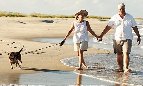 Việc nghỉ hưu có thể làm cho chức năng não suy giảm nhanh chóng. Ảnh: Telegraph.