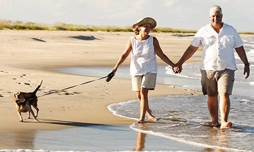 Việc nghỉ hưu có thể làm cho chức năng não suy giảm nhanh chóng. Ảnh: Telegraph.