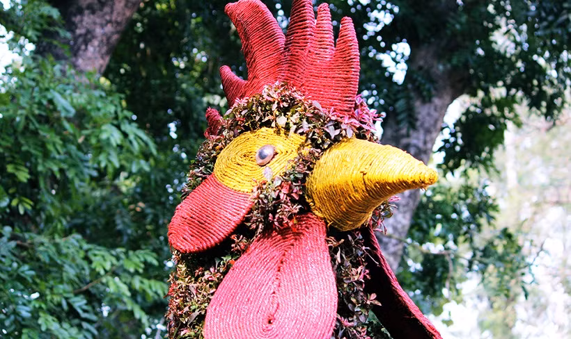 Nếu người nào sinh năm gà (Dậu) thường lao động cần cù siêng năng vì gà phải bận rộn từ sáng đến tối. Cái mào của nó là một dấu hiệu của sự cực kỳ thông minh và một trí tuệ bác học. Bên cạnh đó, người mang tuổi này còn được xem là người có tư duy sâu sắc. Gà còn được coi là sự bảo vệ chống lại lửa. Người sinh vào năm gà thường kiếm sống nhờ kinh doanh nhỏ.