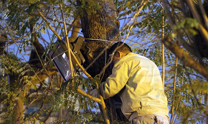 Công nhân nhanh tay lắp ráp đèn điện.